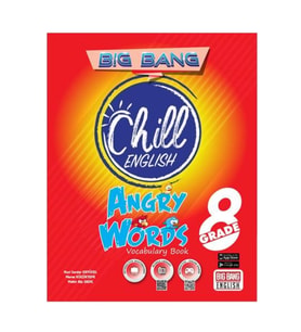 LGS 8. Grade Big Bang Chill English Angry Words Vocabulary Book