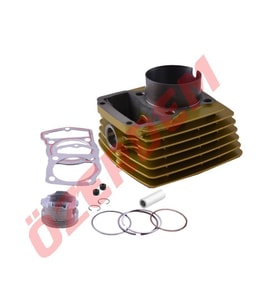 SKM CG MODEL ÇİTA SİLİNDİR 13 MM PİM GOLD