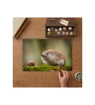 Salyongoz ve Kirpi Tasarımı 240 parça Ahşap Puzzle Ahşap Kutuda MP08121