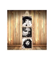 Türkan Filiz Gülşen Tasarımlı Üçlü Retro Ahşap Poster Ü467