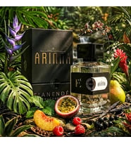 FIANENDÉI PARFUMS ARINNA EXTRAIT UNISEX PARFÜM 100 ML