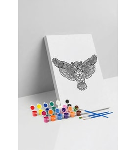 Baykuş Desenli Mandala Tuval Boyama Seti 40x50 cm