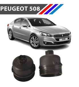 OTOZET Peugeot 508 DW10 Motor Yağ Filtre Kabı Yan Sanayi 1103.L7