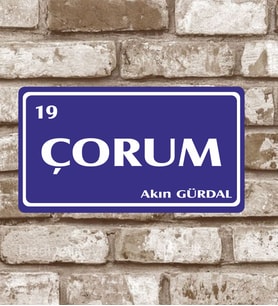Dekoratif Metal Çorum 19 Plaka Retro Poster (29x15)
