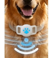 Gözcü Mobil Boş Airtag Yuvalı Kedi Köpek Tasması Evcil Hayvan Pet Takip Cihazı Silikon Yaka Kılıfı Şık Estetik Tasarım (Beyaz)