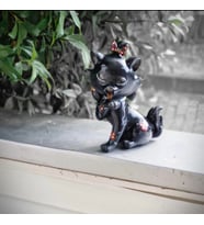 Kara kedi