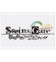 Steins Gate Puzzle 240 Parça Yapboz