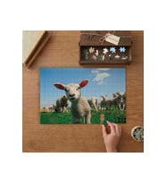 Sevimli Kuzular Tasarımı 240 parça Ahşap Puzzle Ahşap Kutuda MP10744