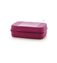 Tupperware Tupperware Büyük Saklama Kutusu