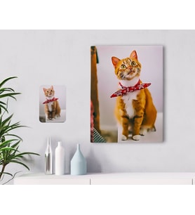 BK Gift Kişiye Özel Tam Boy Kedi Karikatürlü Kanvas Tablo 30x50cm-1