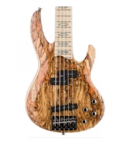 ESP LTD RB-1005SM Natural Bas Gitar