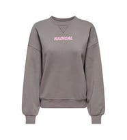 Only ONLSOFIA L/S WORD O-NECK SWT Gri Kadın Sweatshirt 15329876