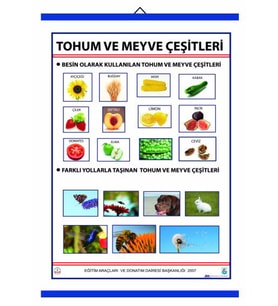 TOHUM VE MEYVE ÇEŞİTLERİ LEVHASI (70X100 CM)