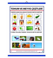 TOHUM VE MEYVE ÇEŞİTLERİ LEVHASI (70X100 CM)