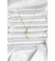 316L Çelik Zincir Gold Renk Zirkon Taşlı Deniz Kızı Model Kadın Kolye 5886 - HPSBYI7749-4922