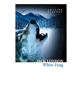 White Fang (Collins C)