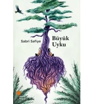 Büyük Uyku