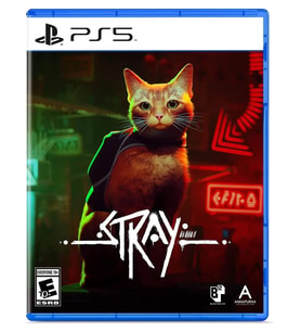 Stray PS5 Oyunu