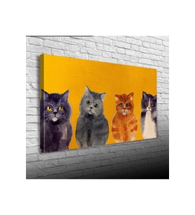 Yavru Kediler Canvas Tablo (60x120)