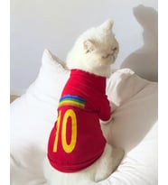 Uno Red Kedi Tişört  (Kırmızı)
