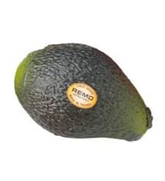 REMO SC-AVCD-01 Avokado Shaker