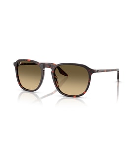 RB 2203 14290A 52 Ray-Ban Güneş Gözlüğü