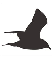 KUŞ FOLYO STİCKER DERSTV930 200cm Uzunluk (Karışık)