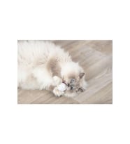Trixie Kedi Oyuncağı, Dondurma ve Kek Şeklinde, Peluş, Kediotlu 7cm