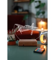 Özel Tasarım PırPır Uçak 3D 16 Renk Dekoratif Led Lamba