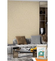 Ventrawall - Krem Renk Pamuk Duvar Boyası - C06 - 5 KG-16,5n²