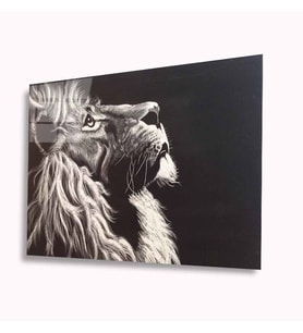 Aslan Cam Tablo 4mm Dayanıklı Temperli Cam