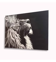 Aslan Cam Tablo 4mm Dayanıklı Temperli Cam