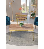 Zigon Sehpa Kr Ve Orta Sehpa Kr Set Gold Ceviz Tel 1108