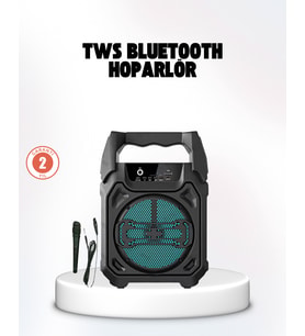 Taşınabilir 6.5” Bluetooth Hoparlör Usb Tf Kart Mikrofonlu Şarjlı Sistem