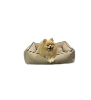 PatiBed Çizilmez Yırtılmaz Yıkanabilir Kedi / Köpek Yatağı (Krem)