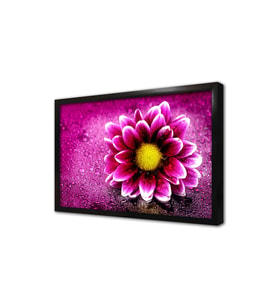 Pembe Çiçek Makro Çerçeveli Mdf Tablo