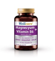 Wellcare Magnezyum ve Vitamin B6 200/10 mg 60 Tablet