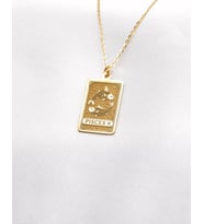 Kişiye Özel 925 Ayar Gümüş Tasarım Balık Burcu Kolye (Gold)