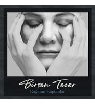 Kağıttan Kaptanlar - Birsen Tezer