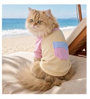 Soft Sun Kedi Tişörtü Cepli Şeker Renkli Yazlık Kedi Kıyafeti