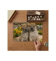 Shar Pei Yavruları Tasarımı 240 parça Ahşap Puzzle Ahşap Kutuda MP01113