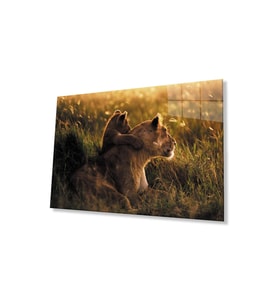 Aslan Cam Tablo 4mm Dayanıklı Temperli Cam (Çok Renkli)