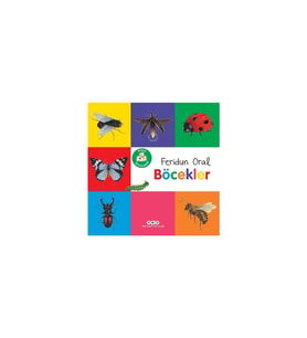 Minik Kitaplarım - Böcekler - Feridun Oral