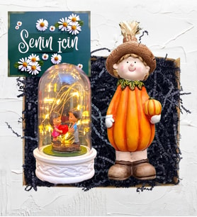 Led Işıklı Biblolu Fanus ve Sevimli Bal Kabağı Biblosu Hediye Seti (Model 4)