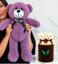 Büyük Boy Mor Peluş Ayıcık ve Peluş Saksıda Ayıcık Buketi Sevgiliye Kadına Arkadaşa Hediye