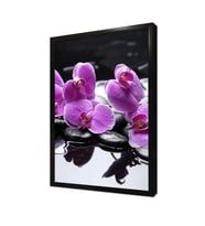 Spa Taşları ve Orkide Çerçeveli Mdf Tablo