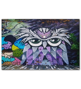 Cakatablo Grafiti Sokak Sanatı Baykuş Görseli