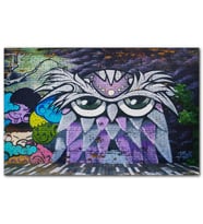 Cakatablo Grafiti Sokak Sanatı Baykuş Görseli