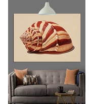 Deniz Kabuğu Spiral Desen Dekoratif Kanvas - Mdf Ahşap Tablo