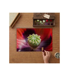 Yeşil Haşhaş Tomurcuğu Tasarımı 240 parça Ahşap Puzzle Ahşap Kutuda MP00982